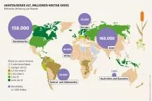 Infografik Mooratlas: Weltweite Verteilung von Mooren