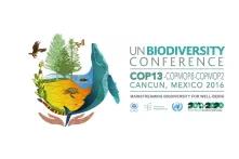 Logo COP 13