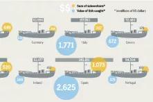 Infographic from the Ocean Atlas – Subventions and Catches – What's Left Over?
