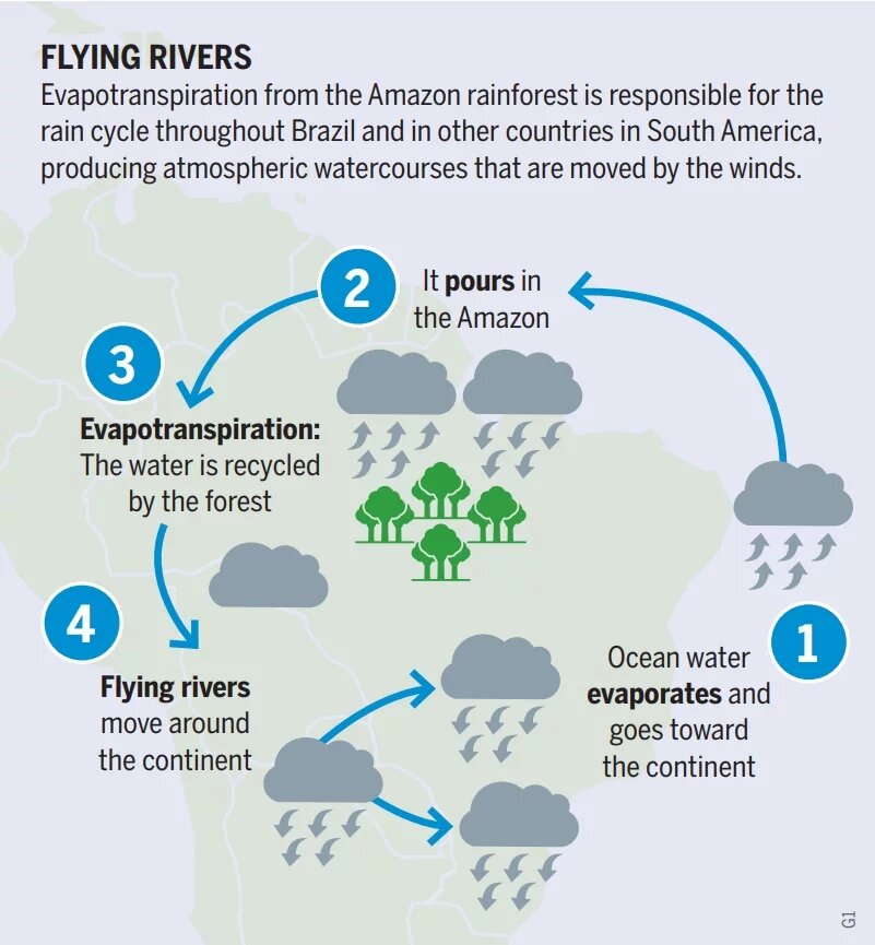 Fliegende Flüsse in Amazonien Grafik zeigt Wasserkreislauf des Amazonas: Meerwasser verdunstet (evaporates) und zieht zum Kontinent, wo es über dem Amazonas regnet (pours). Der Wald recycelt das Wasser durch Verdunstung (Evapotranspiration), und die so entstehenden Wolken ziehen als fliegende Flüsse über den Kontinent.