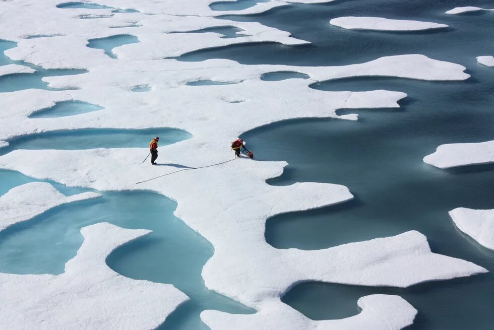 Arctic Arctic