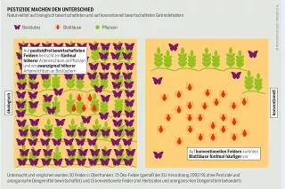 Naturvielfalt auf biologisch bewirtschafteten und auf konventionell bewirtschafteten Getreidefeldern