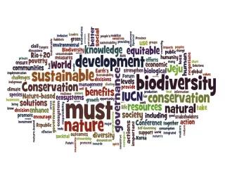 Neue Ökonomie der Natur: Naturkapital und Biodiversität