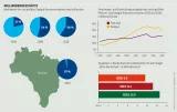 Pestizidatlas Infografik: Marktanteil der vier größten Saatgut-Konzerne weltweit und in Brasilien