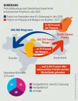 Pestizidatlas Infografik: Pestizidbelastung nach Deutschland importierter brasilianischer Früchte im Jahr 2021