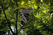 Durch die grünen Kronen mehrere Laubbäume, sieht man einen Fuß des Eiffelturms.