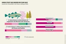 Wasseratlas Infografik: Ihnen steht das Wasser bis zum Hals Zustand der Artenvielfalt in der Ostsee, anteilig je Fläche