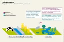 Wasseratlas Infografik: Zurück zur Natur Ökologische Potenziale durch die Renaturierung von Flussauen