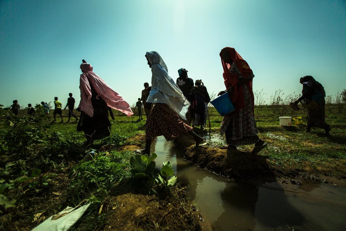 CEDAW in Senegal - Senegalese women planting sweet potato seeds