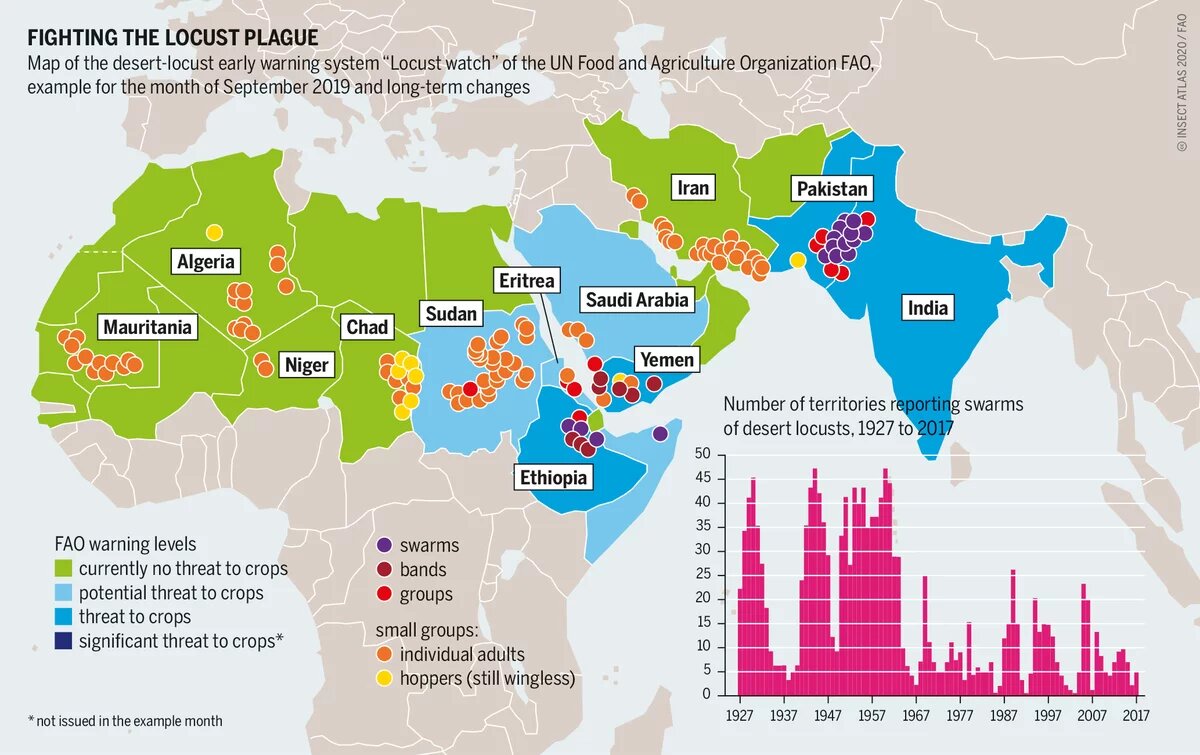 Graphic: Fighting the locust plague