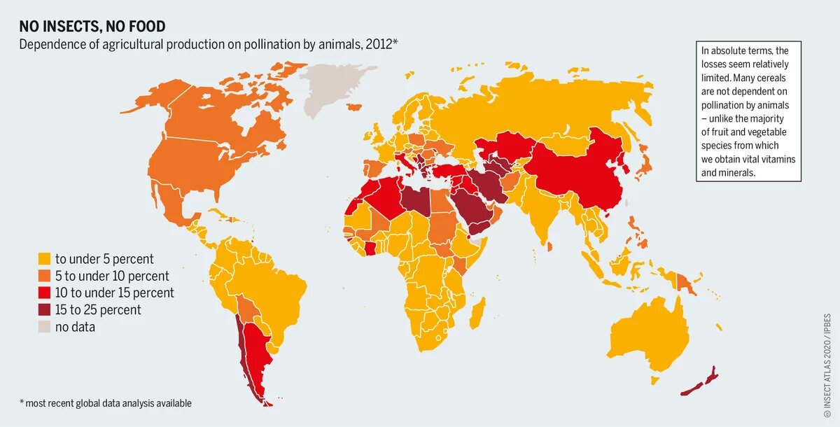 Graphic: No insects, no food