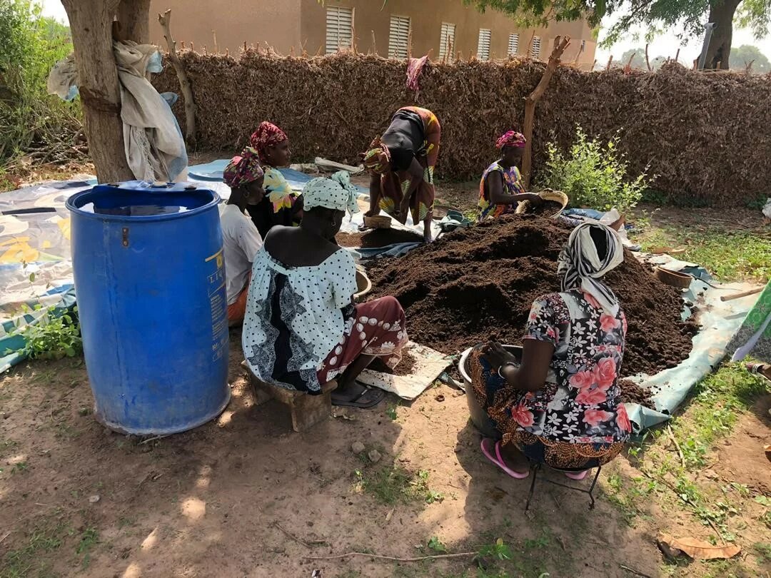 Afrikanische Frauen bei der landwirtschaftlichen Arbeit