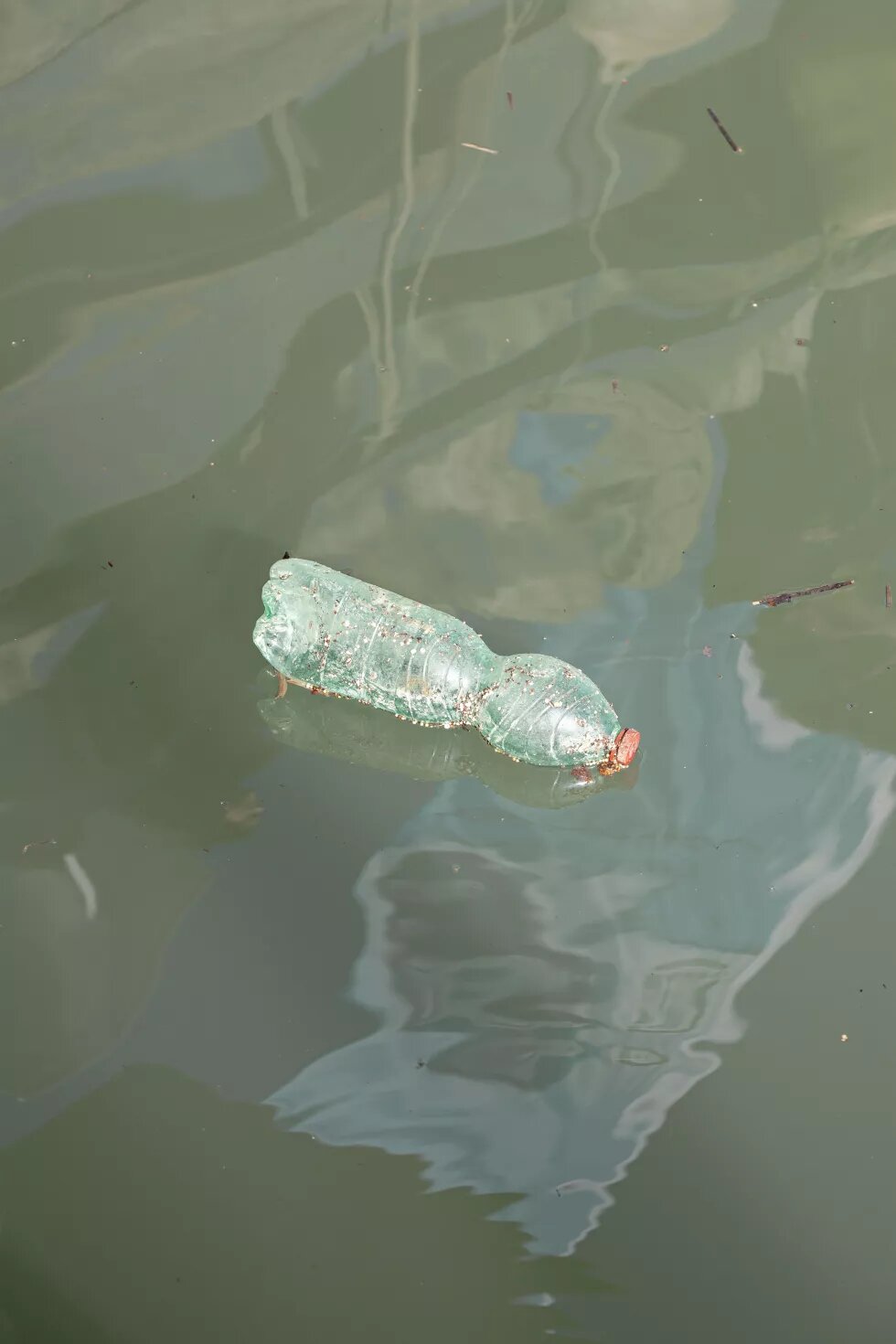 Plastikflasche im Wasser schwimmend