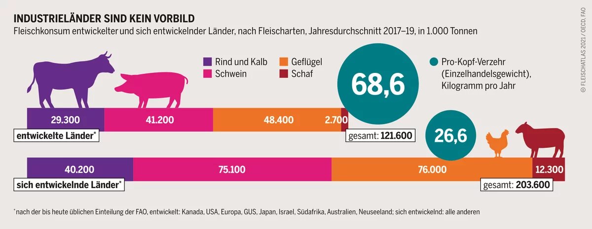 Fleischatlas Infografik: Fleischkonsum entwickelter und sich entwickelnder Länder, nach Fleischarten