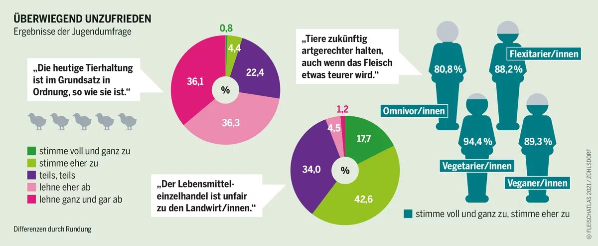 Fleischatlas Infografik: Ergebnisse der Jugendumfrage