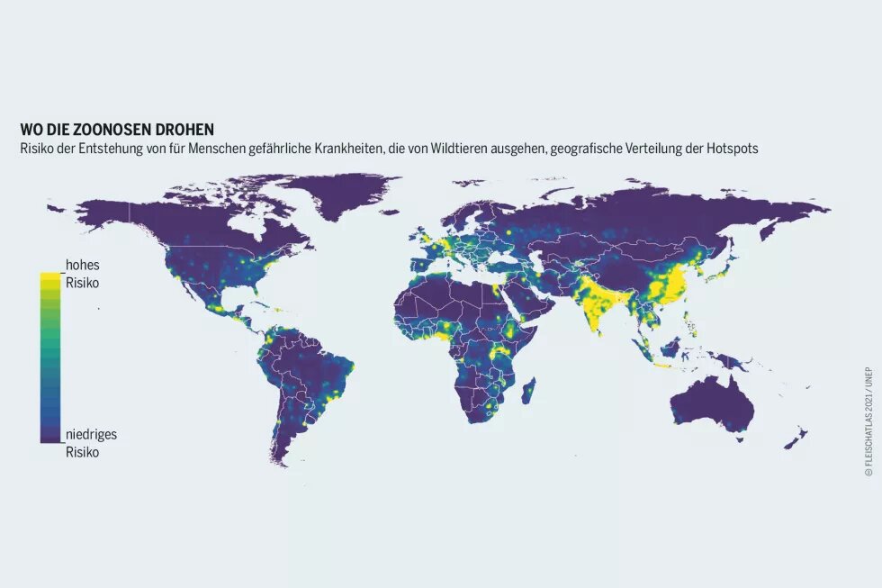 Fleischatlas Infografik: Risiko der Entstehung von für Menschen gefährliche Krankheiten, die von Wildtieren ausgehen