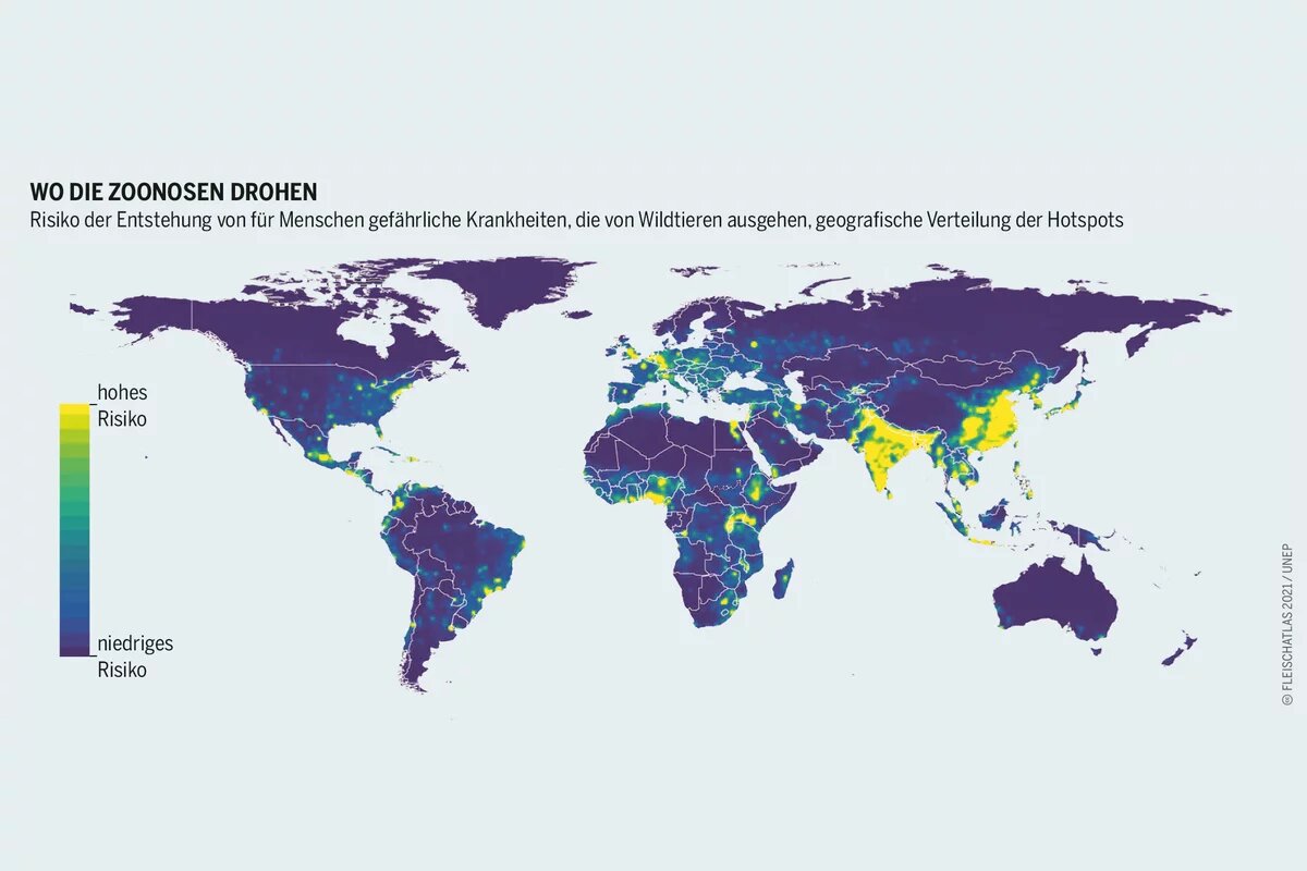 Fleischatlas Infografik: Risiko der Entstehung von für Menschen gefährliche Krankheiten, die von Wildtieren ausgehen