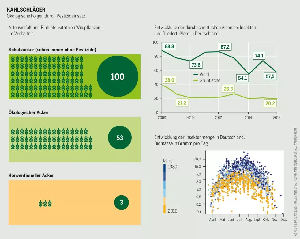 Pestizidatlas Infografik: Ökologische Folgen durch Pestizideinsatz