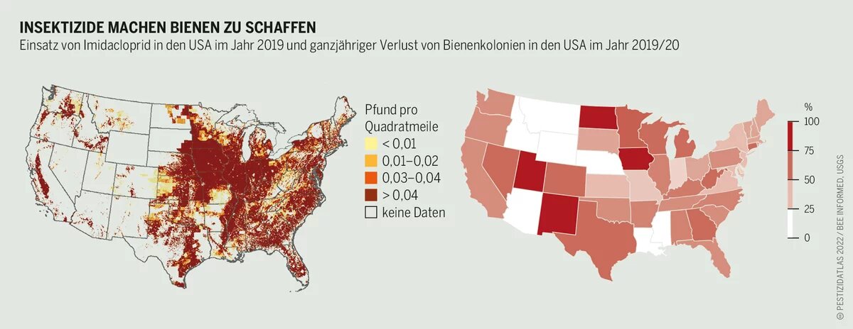 Pestizidatlas Infografik: Einsatz von Imidacloprid in den USA im Jahr 2019 und ganzjähriger Verlust von Bienenkolonien in den USA im Jahr 2019/20