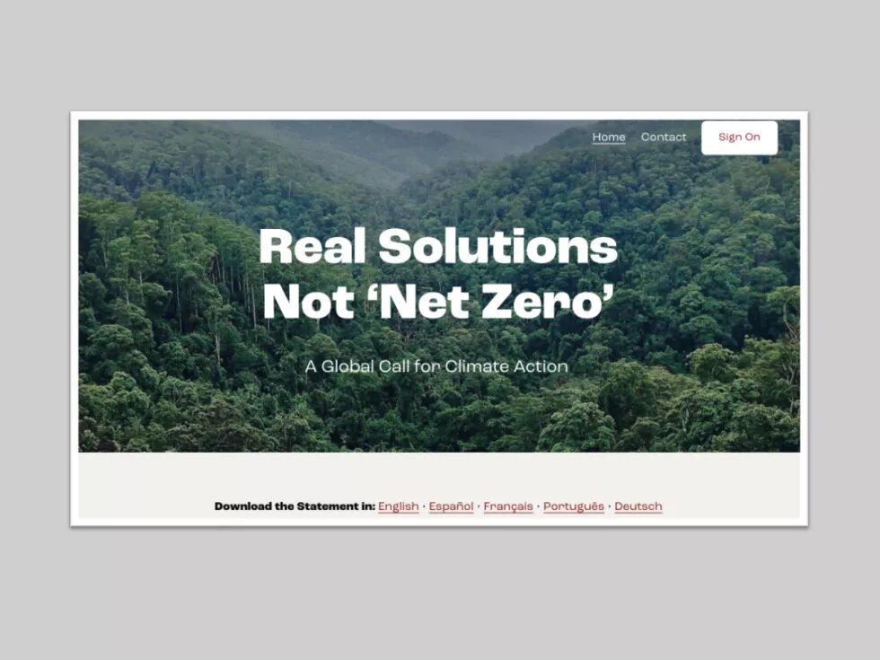 Screenshot der Website Realsolutions