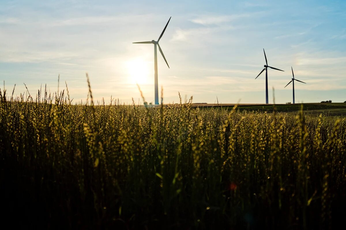 Windräder auf einem Feld mit Blick in die Sonne