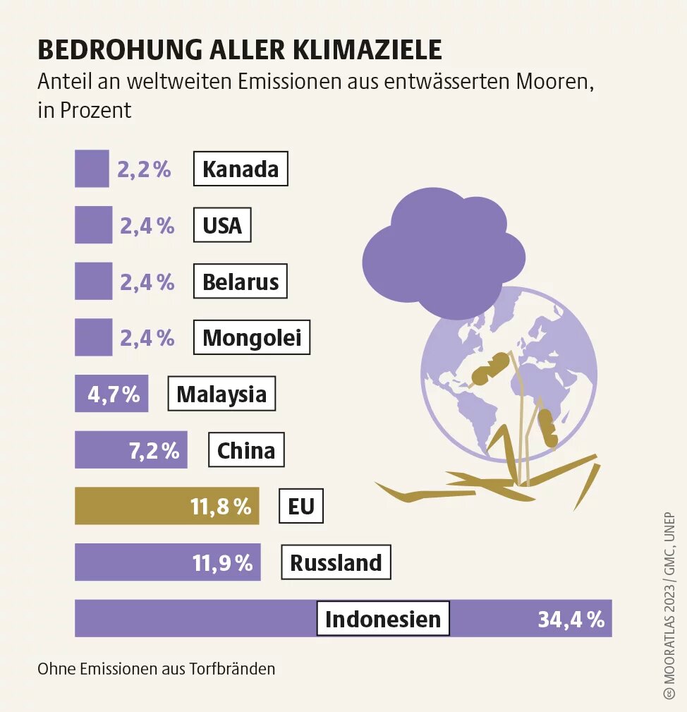 Mooratlas Infografik: Anteil an weltweiten Emissionen aus entwässerten Mooren, in Prozent