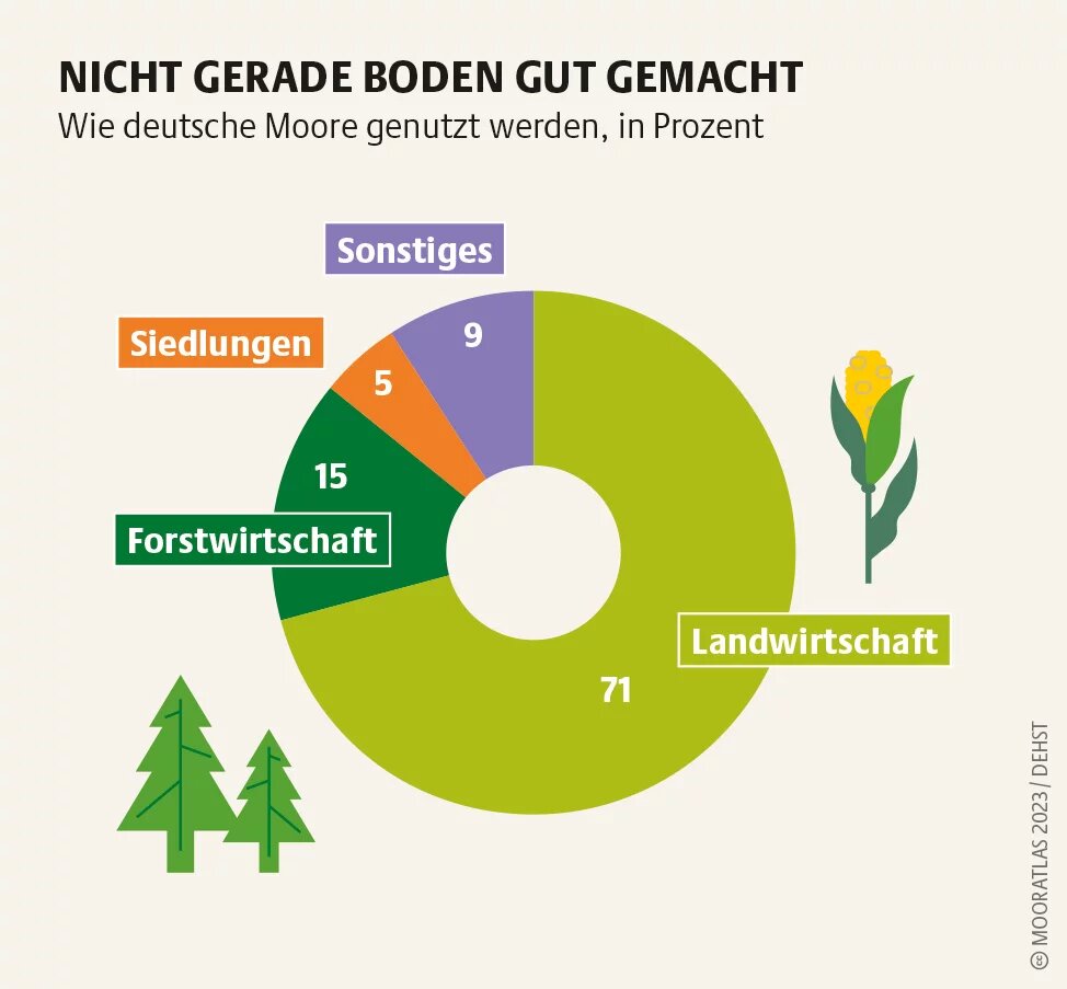 Mooratlas Infografik: Wie deutsche Moore genutzt werden, in Prozent