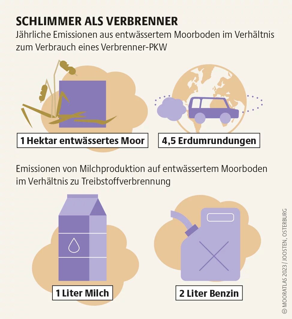 Mooratlas Infografik: Jährliche Emissionen aus entwässertem Moorboden im Verhältnis zum Verbrauch eines Verbrenner-PKW