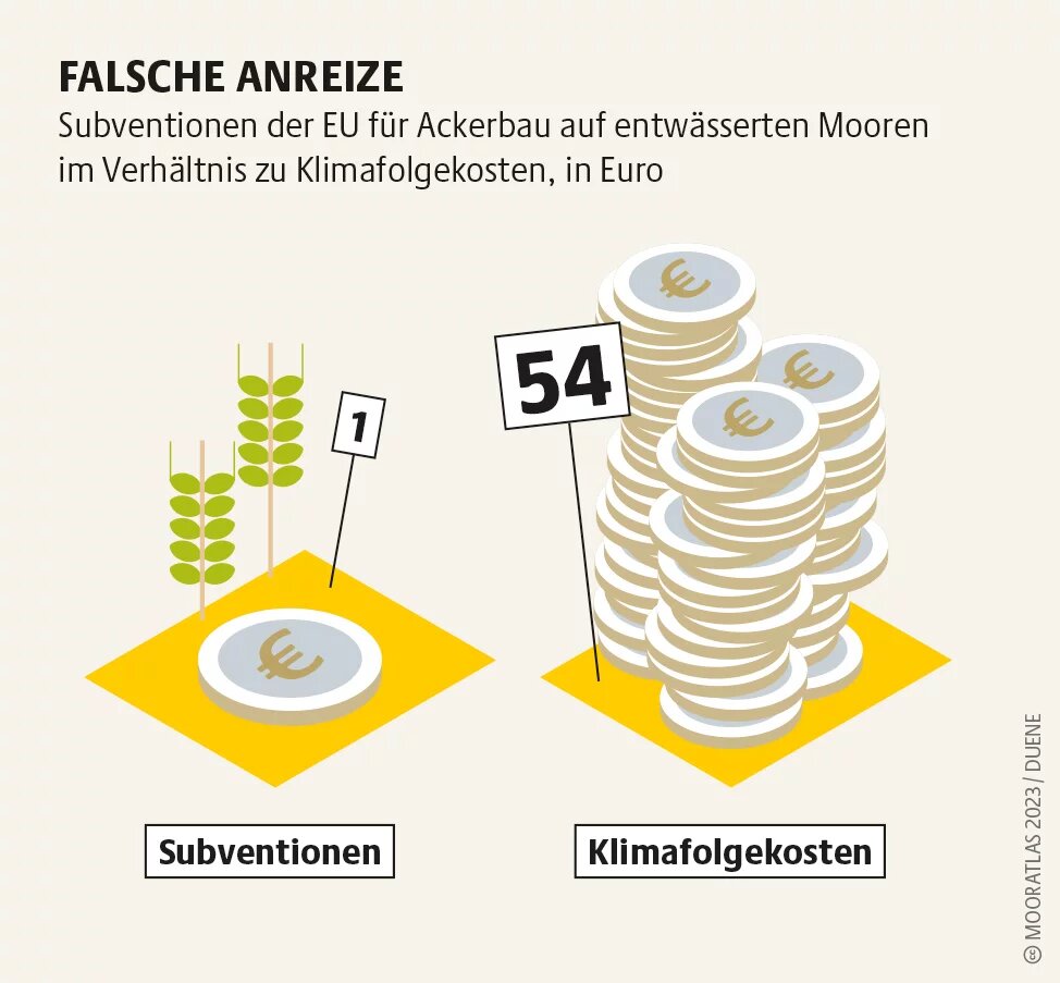 Mooratlas Infografik: Subventionen der EU für Ackerbau auf entwässerten Mooren im Verhältnis zu Klimafolgekosten, in Euro