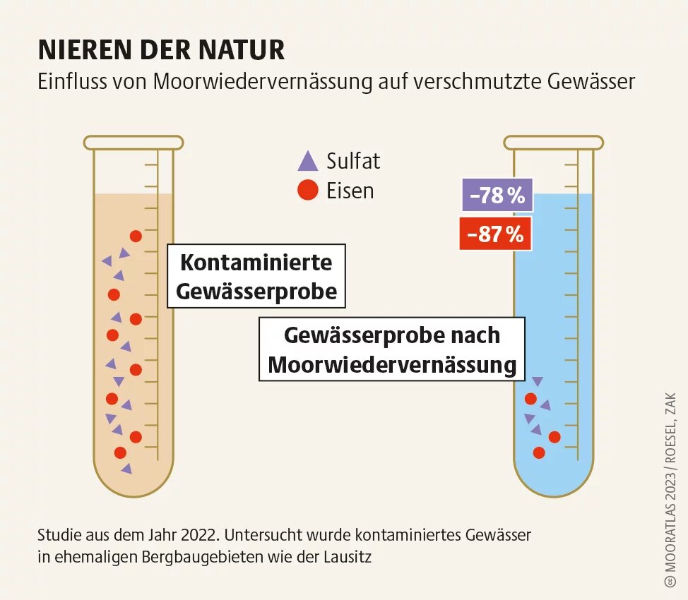 Mooratlas Infografik: Einfluss von Moorwiedervernässung auf verschmutzte Gewässer