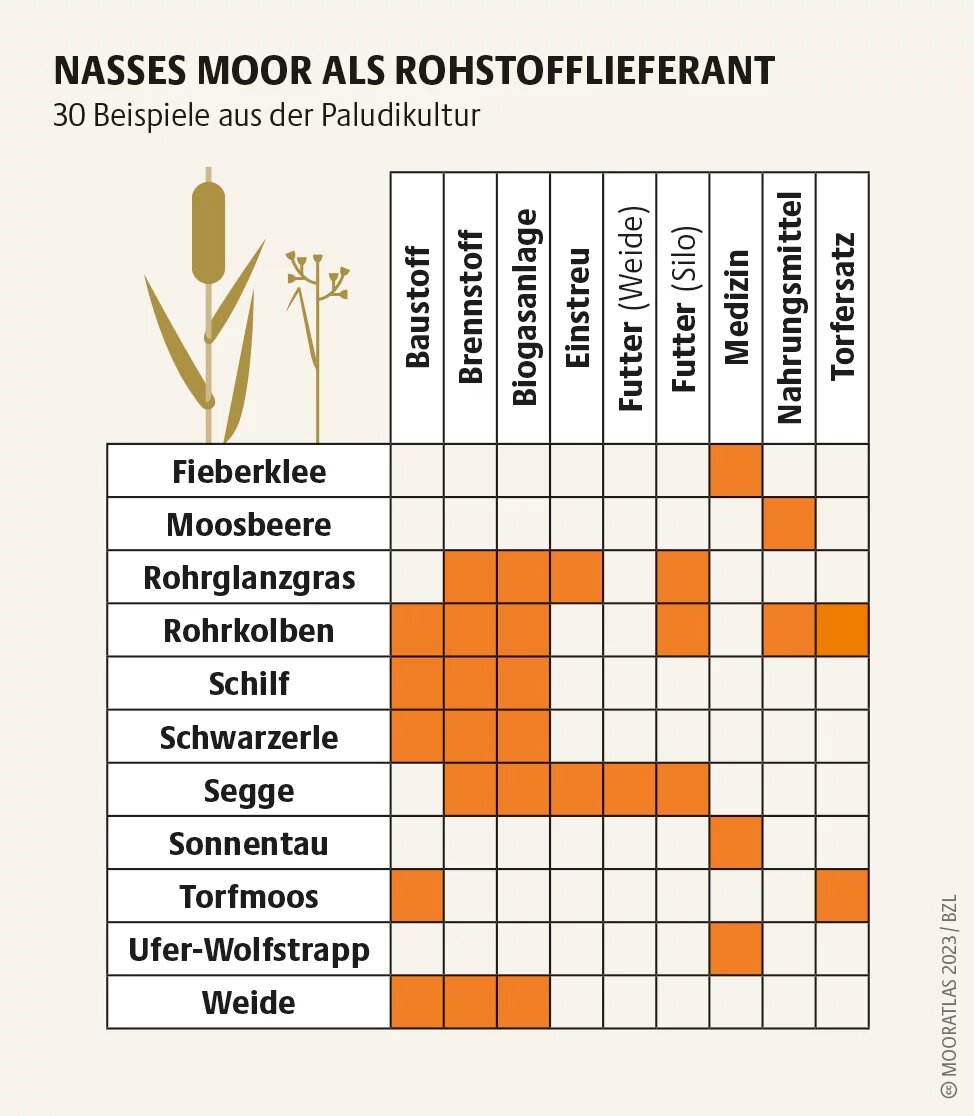 Mooratlas Infografik: 30 Beispiele aus der Paludikultur