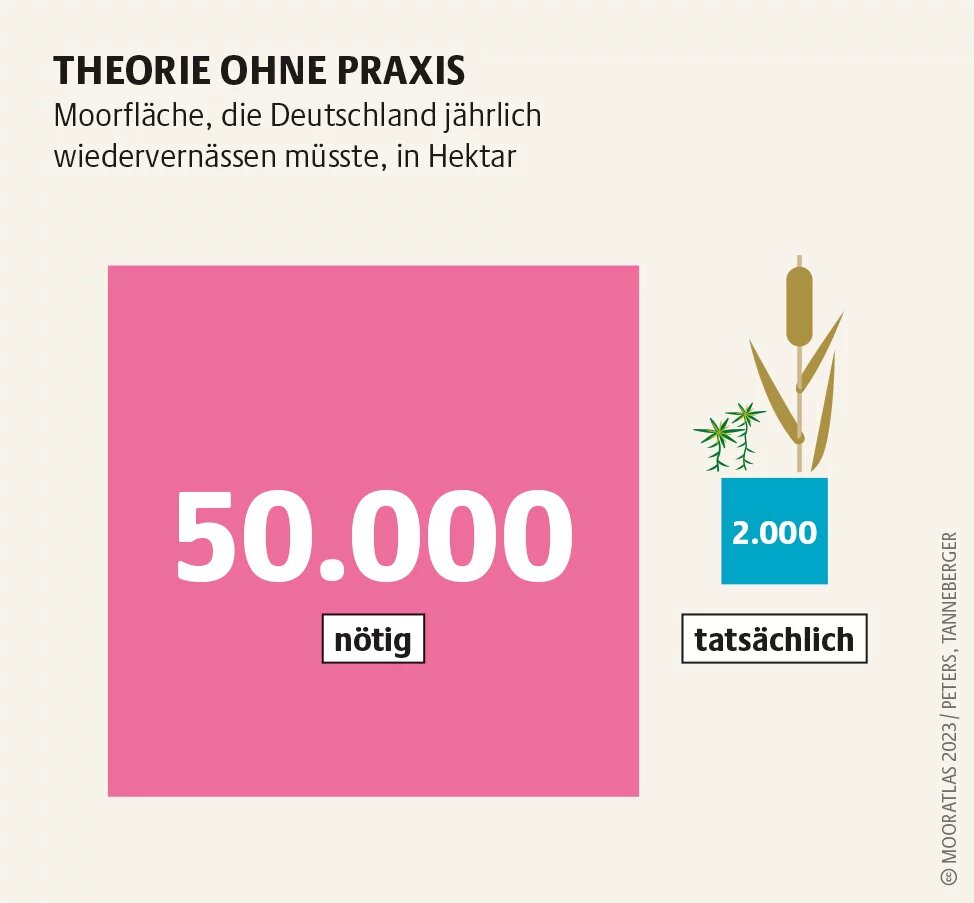 Mooratlas Infografik: Moorfläche, die Deutschland jährlich wiedervernässen müsste, in Hektar
