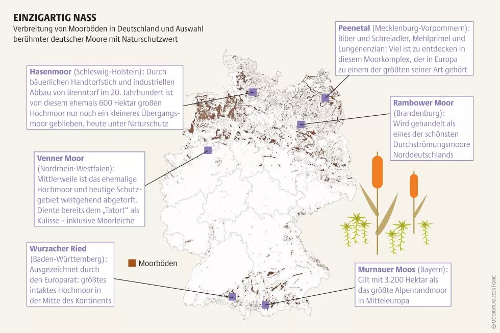 Mooratlas Infografik: Verbreitung von Moorböden in Deutschland und Auswahl berühmter deutscher Moore mit Naturschutzwert