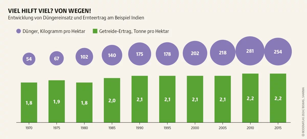 Mehr Dünger bedeutet nicht zwingend höhere Erträge. Aber: höhere Kosten und Umweltschäden