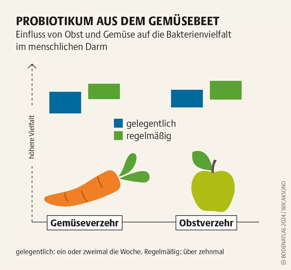 Eine hohe Bakterienvielfalt im Darm stärkt das Immunsystem und fördert die Widerstandsfähigkeit des ganzen menschlichen Organismus