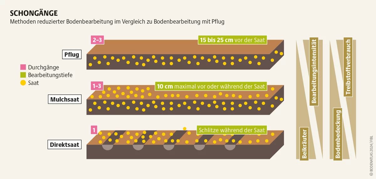 Die Umstellung von Pflug auf reduzierte Bearbeitung verringert den Ertrag um ein Zehntel – zunächst. Vier Jahre später ist er 11 Prozent höher 