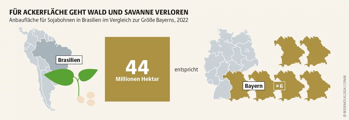 Auf immer mehr Fläche in Südamerika wird Soja angebaut. Nicht selten hängen Sojaplantagen mit Landnahme, Landraub, Vertreibung zusammen 