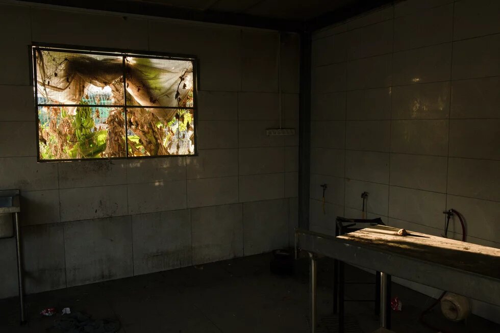 Blick in eine der Küchen des Kibbuz Nir Oz nach dem Anschlag vom 7. Oktober. Im Fenster ist die Leiche eines der Opfer zu sehen.