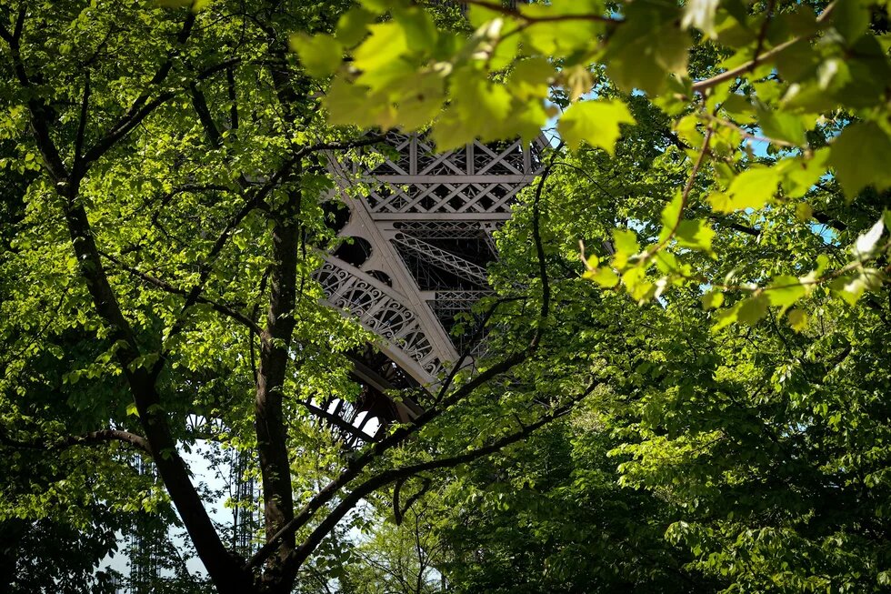 Durch die grünen Kronen mehrere Laubbäume, sieht man einen Fuß des Eiffelturms.