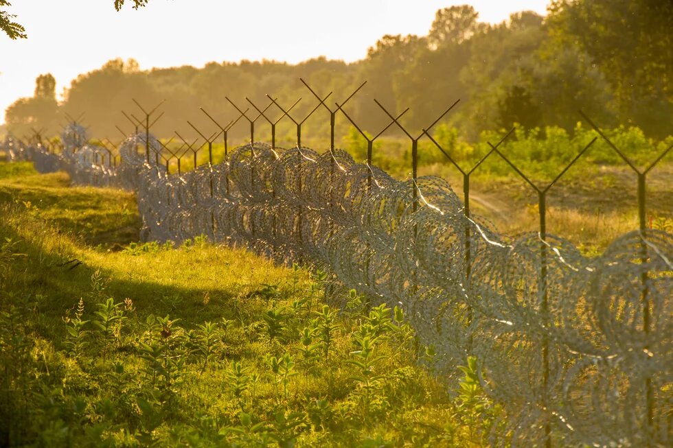 Stacheldraht an der ungarischen Grenze