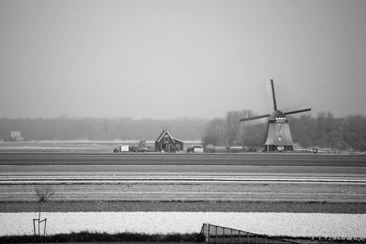 Dutch landscape near Schagen