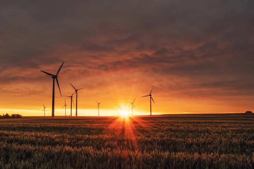 Ein Kornfeld mit mehreren Windrädern im Sonnenuntergang