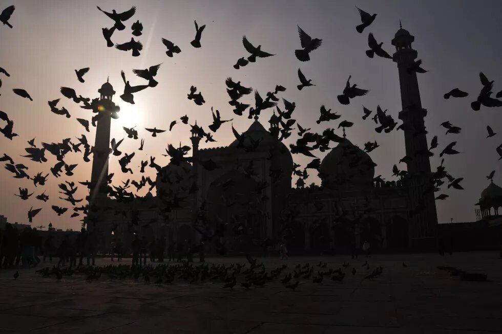 Auffliegende Tauben vor einer Moschee in Delhi, Indien